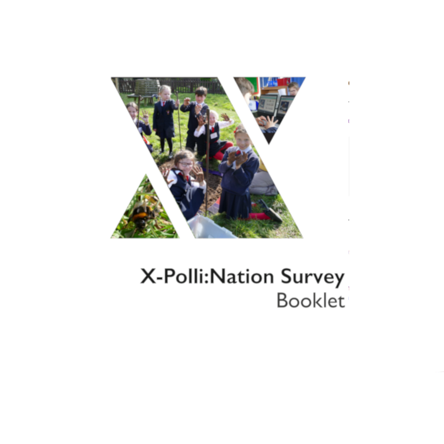 Participate in the X-Polli:Nation Survey