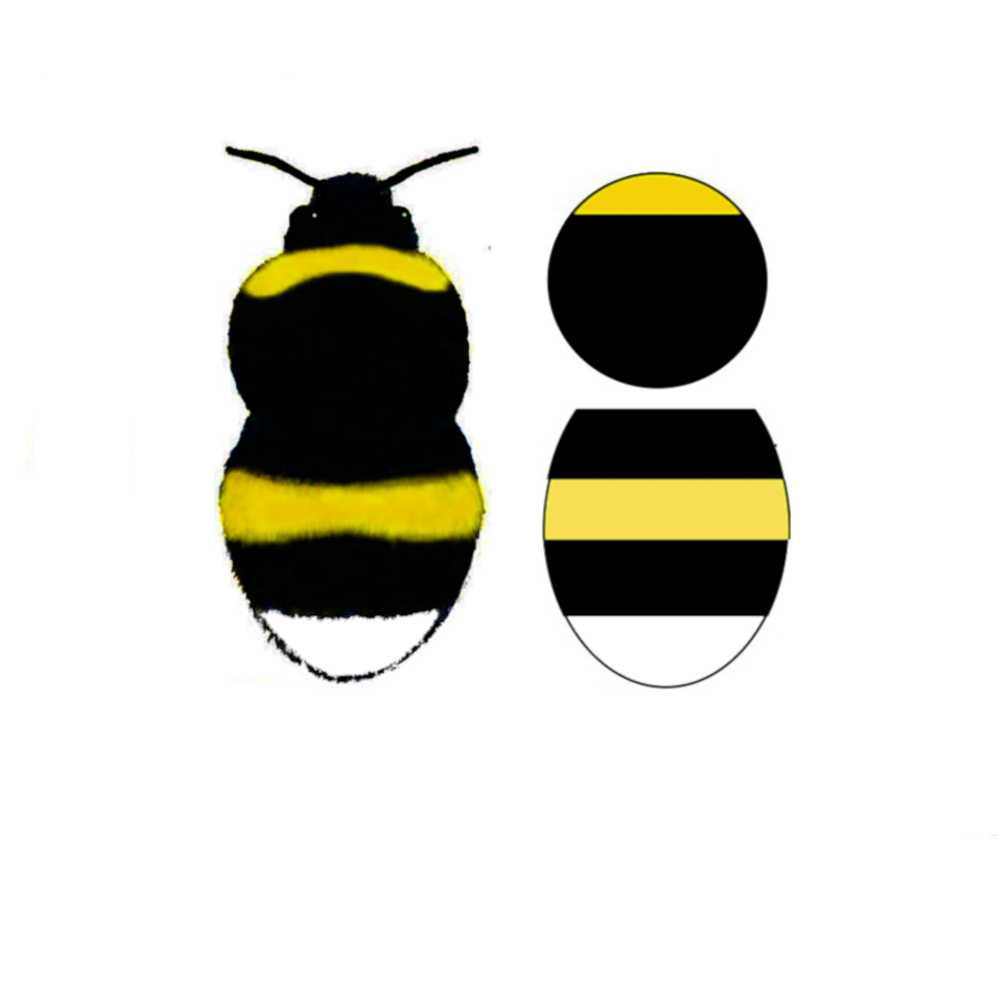 Practise Species Identification